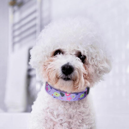 QQPETS Adjustable Soft Dog Collar with Print Flower Pink Multicolor Patterns for XS Small Medium Large Pets