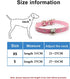 Cute Dazzling Sparkling Elegant Fancy Skull Diamond Crystal Rhinestone Leather Small Pet Dog Cat Collar Puppy (S, White)