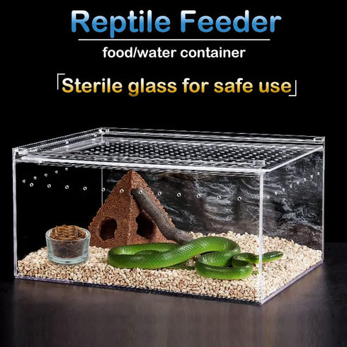 6 Pcs Glass Reptile Feeding Bowl Food Basin Tray Container Water Dish Cup for Small Reptile Lizard Spider Corn Snake Scorpion Centipede Crickets