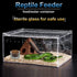6 Pcs Glass Reptile Feeding Bowl Food Basin Tray Container Water Dish Cup for Small Reptile Lizard Spider Corn Snake Scorpion Centipede Crickets