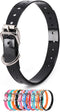 Waterproof Dog Collar Replacement Strap, Easy Clean Odorless with Metal Buckle, 3/4 Inch Adjustable Size