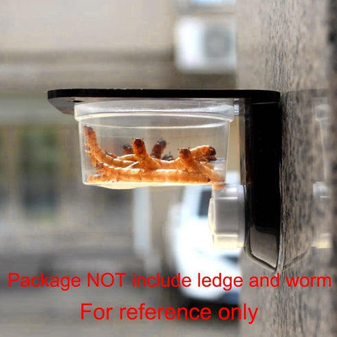 SLSON 100 Pack Gecko Food and Water Cups, Reptile Worm Bowl Mealworm Feeder for Lizard, Leopard Gecko, Crested Gecko (1