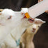 400ml 5PCS Angoily Goat Bottle, Lamb Bottle Goat Feeding, Small Animal Milk Drink for Feeding s, Nursing s Puppies, Pet