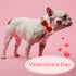 azuza Valentine's Day Dog Collar - Removable Bowtie with Pink Sparkly Hearts Pattern for Small Dogs
