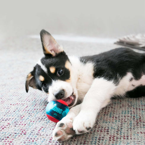 Kong Squeezz Action Toy - Large Red Fetch Fun
