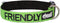 Friendly Green Colour Coded Buckle Dog Collar S-M L-XL Prevents Accidents