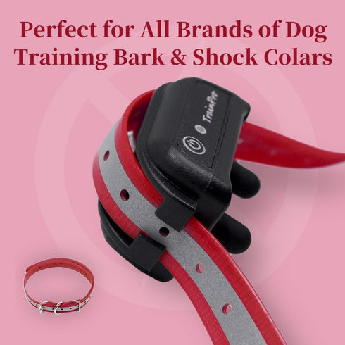Replacement ¾” Collar Strap Bands | Double Buckle Loop Training for All Brands of Pet Shock Bark Collars