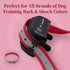 Replacement ¾” Collar Strap Bands | Double Buckle Loop Training for All Brands of Pet Shock Bark Collars