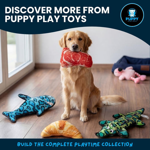 Puppy Play Toys 5-Pack: Set Squeaky Dog Toys Realistic Steak, Chicken Leg & Shrimp Plush Chew Toys for All Dog Sizes