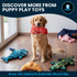 Puppy Play Toys 5-Pack: Set Squeaky Dog Toys Realistic Steak, Chicken Leg & Shrimp Plush Chew Toys for All Dog Sizes