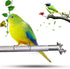 YITON 28Cm 1Pcs Bird Perches Birdcage Stands Bird Perch Parrot Stainless Steel Bird Standing Rod Bird Supplies Teether
