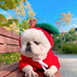 XIAOYU Apple Pet Clothes, Christmas Dog Fruit Hoodie, Fleece Sweater for Halloween Cosplay Party - Size S