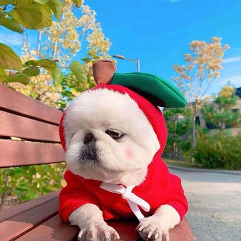 XIAOYU Pet Clothes Dog Hoodies Warm Sweatshirt Coat, Puppy Autumn Winter Apparel Jumpsuit with Fruit Hood