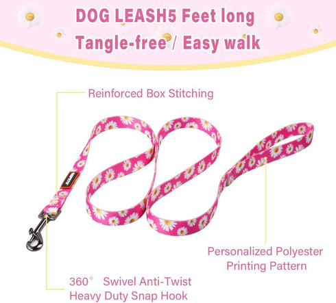 QQPETS Adjustable Dog Harness Leash Set, Heavy Duty No Pull Halter for Small Medium Large Dogs, Back Clip, Anti-Twist,