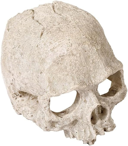 Halloween Aquarium Landscape Skull - Artificial Skeleton Decoration for Fish Tank