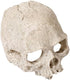 Halloween Aquarium Landscape Skull - Artificial Skeleton Decoration for Fish Tank