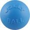 Jolly Pets Toys Jolly Bounce-N-Play Dog Toy, Blueberry, 4.5-Inch