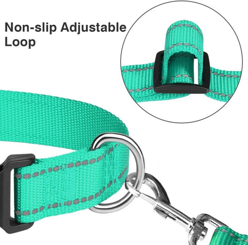 Taglory Reflective Adjustable Dog Collars for Small Medium Large Dogs, Thin Nylon Webbing, Quick Release Buckle (Teal