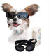 PETLESO Dog Goggles for Small Breed, Eye Protective Sunglasses for Outdoor Riding, Black