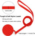 Hypeety 6 Pcs Bulk Pack Slip Leads Dog Pet Grooming Kennel Small Animal Control Shelter Leash