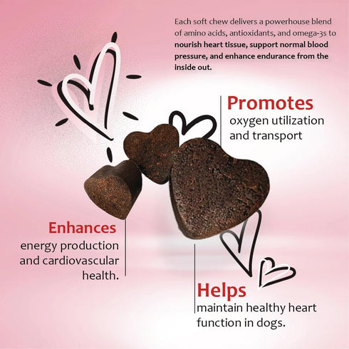 L-Carnitine,EPA,DHA,CoQ10-Aids Made-60 Heart Support Supplement for Dogs-Vet-Formulated, Antioxidant-Rich-L-Taurine