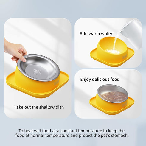 Tilted Cat Feeding Bowls, Whisker Friendly Raised Bowls for Indoor Cats, 3 in 1 Combined Design (Yellow)