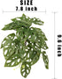 WOLEDOE Reptile Plants for Terrarium, Amphibian Habitat Decor Artificial Hanging Plants with Suction Cup - Fake Swiss