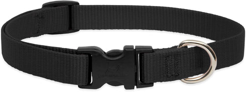 LupinePet Basics Adjustable Collar, 3/4" Black, 9-14" for Small Dogs