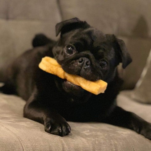 Premium Himalayan Yak Cheese Dog Chews - Long-Lasting Treats for Aggressive Chewers, All Dog Sizes - Natural Yak Cheese