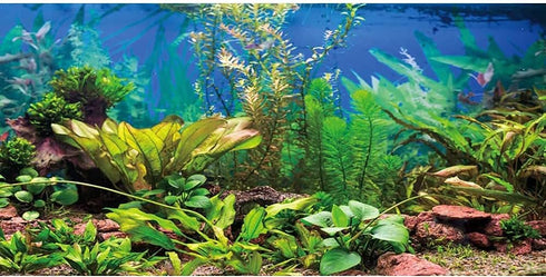 AWERT 24x12 Inches Aquarium Background - Aquatic Plant River Bed & Lake Fish Tank Background Vinyl