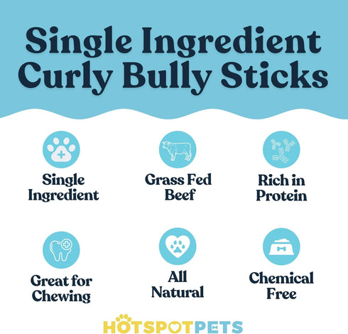 hotspot pets Spring Bully Sticks for Dogs - 6 Pack Premium All Natural Long Twisted Beef Pizzle Chew Treats