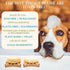 3 oz Balancing Biome Pet Shampoo Bar for Dogs & Cats Vet-Formulated, Fragrance-Free, Hypoallergenic, Plant-Based