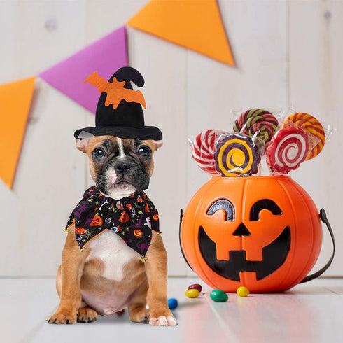 EXPAWLORER Dog Halloween Costumes - Collar with Bells and Wizard's Hat Set, Black