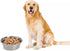 DEAYOU 4-Pack Stainless Steel Dog Bowl, Metal Food and Water Dish for Large Medium Small Dogs, Elevated Stand, Kitten,
