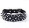 Stylish Rhinestones Dog Collar with Bullet Rivets, Soft and Adjustable Leather for Medium and Large Dogs, Black,