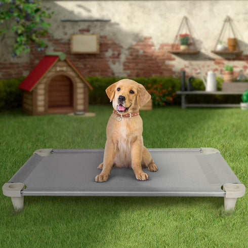 Acrimet Cooling Elevated Pet Dog Bed Cot, Washable Breathable Mesh Fabric, Stainless Steel Frame, Indoor & Outdoor Use