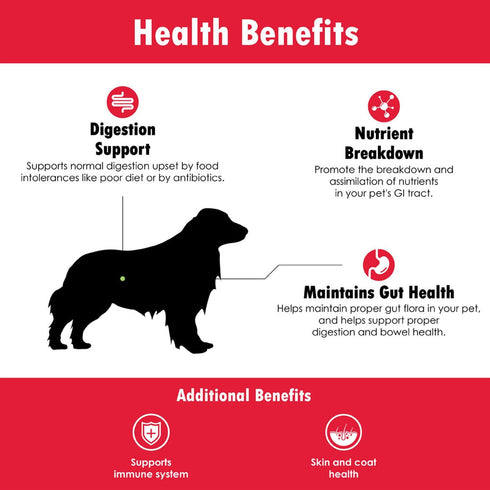 Probiotics for Dogs, Complete Gut Health & Immune Support, 60 Soft Chews, Easy to Use