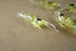 Generic 10 4cm Pcs Simulation Fake Bait Grass Shrimp Lures Soft Shrimp Bait Fishing Gear Professional Design