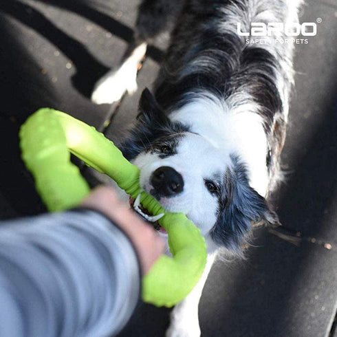 LaRoo Dog Toys for Aggressive Chewers, Floatable Dog Flying Disc, Interactive Tug Toy, Dog Ring Toy, Funny Teething Toys