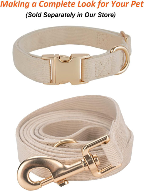 Soft Cotton Dog Leash - 5 Ft Heavy Duty Corduroy with Gold Metal Hook for Small Medium Large Dogs (White)