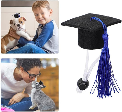 BESTOYARD 2Pcs Set Elastic Doctorial Hat Graduation Cap for Dogs and Cats, Mini Bachelor Hats for Pets