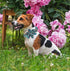 Unique style paws Adjustable Dog Collar with Flower Pattern, Durable Pet Collar for Small Medium Large Dogs