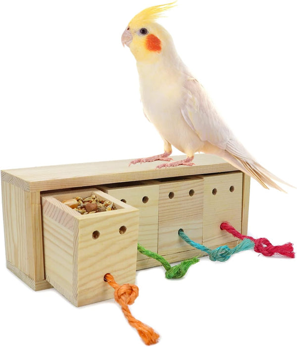 Bird Foraging Feeder Toy Training Intelligence Box Wooden for Parrot, Budgie, Parakeet, Cockatiel, Conure, African Grey