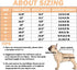Recovery Suit for Dog After Surgery Cut Pet Recovery Shirt Dog Abdominal Wounds Bandages,Wound Protective Dog OneSize for Surgery Female Dog Vest Prevent Licking,Substitute E-Collar(RSS08-Fblue-S)