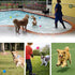 Dog Squeaky Balls - Squeaky Toy Balls for Small Medium Large Dogs, 3 Pcs