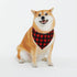 Personalized Dog Bandana with Name Custom Funny Neckwear Dog Scarf Triangle Bibs