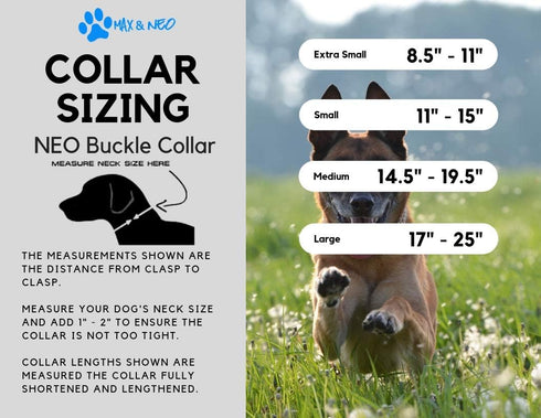 Max and Neo NEO Nylon Buckle Reflective Dog Collar - We Donate a Collar to a Dog Rescue for Every Collar Sold (X-Small,