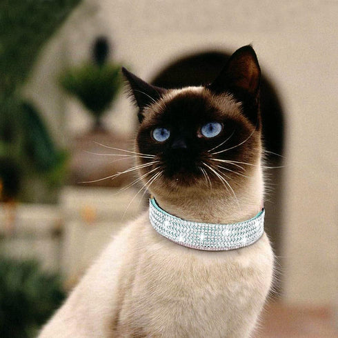 Pimaodog Rhinestones Dog Collar, Cute Dazzling Soft Suede Leather Pet Collar with Bell, Blue Crystal Jeweled Necklace