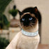 Pimaodog Rhinestones Dog Collar, Cute Dazzling Soft Suede Leather Pet Collar with Bell, Blue Crystal Jeweled Necklace