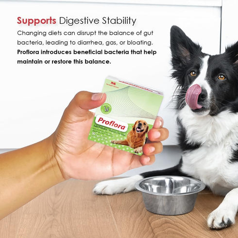 Probiotics for Dogs - Complete Gut Health & Immune Support, 30 Packets for Easy Digestive Multi-Strain Use